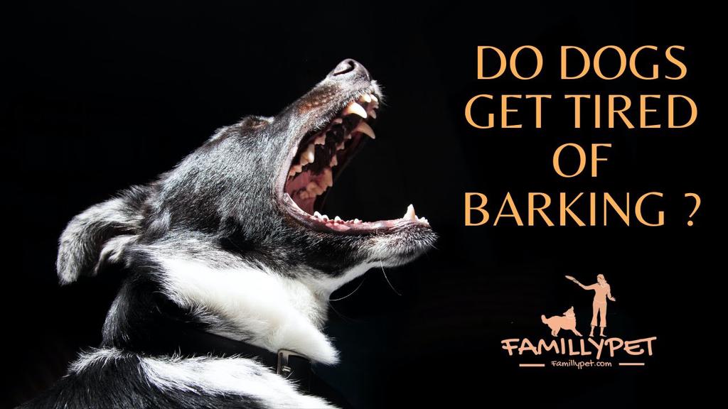 'Video thumbnail for Do Dogs Get Tired Of Barking ?'