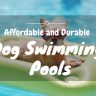 Dog swimming pools