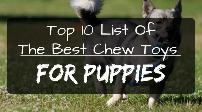 Best chew toys for puppies thumbnail