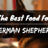 Best food for german shepherd