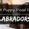 Best puppy food for labs