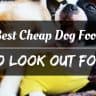 Best cheap dog food