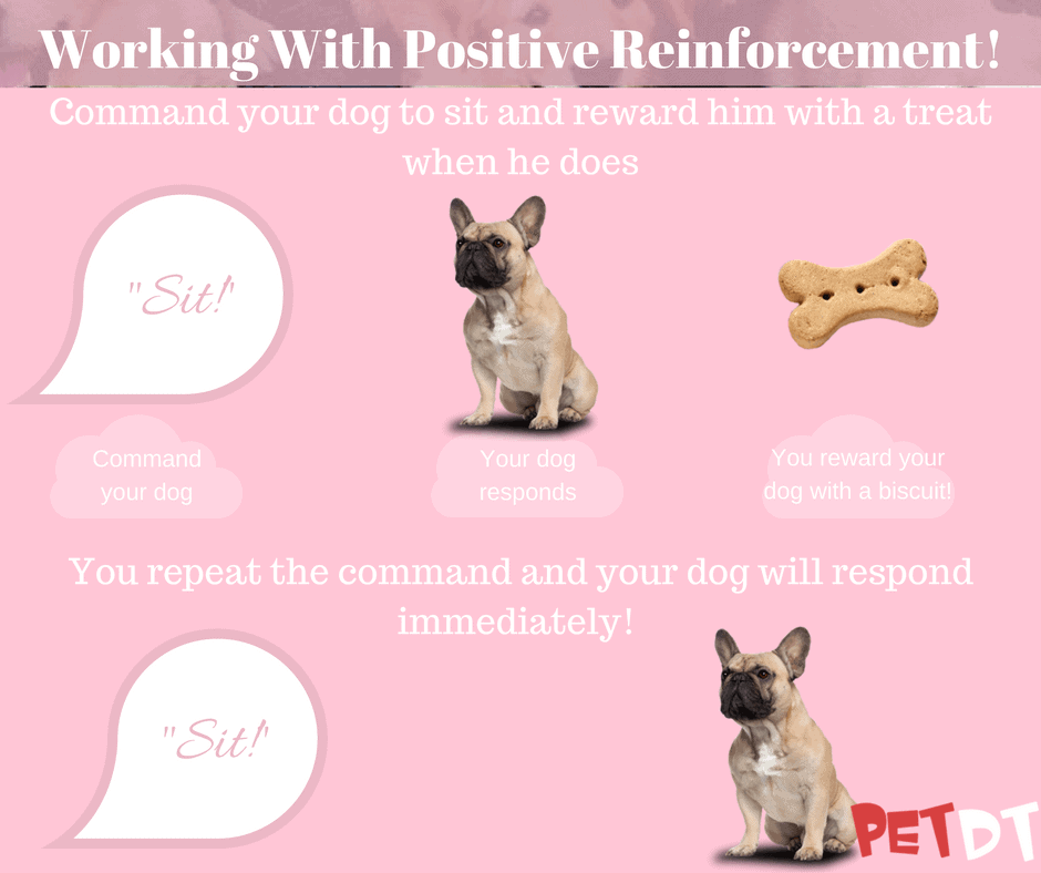 Working with positive reinforcement