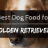 Best dog food for golden retraievers