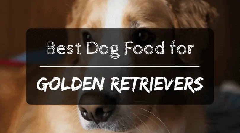 Best Dog Food for Golden Retrievers: 2019 Review & Top ...