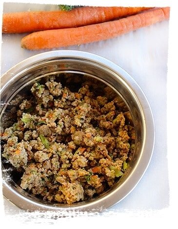 Homemade dog food