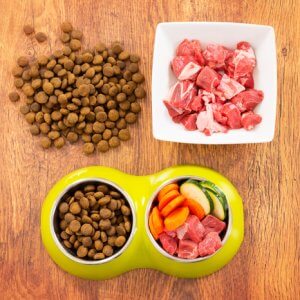 Best organic dog food in the market