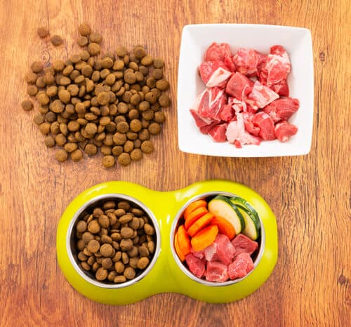 best-organic-dog-food-the-ultimate