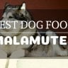 Best dog food for malamutes