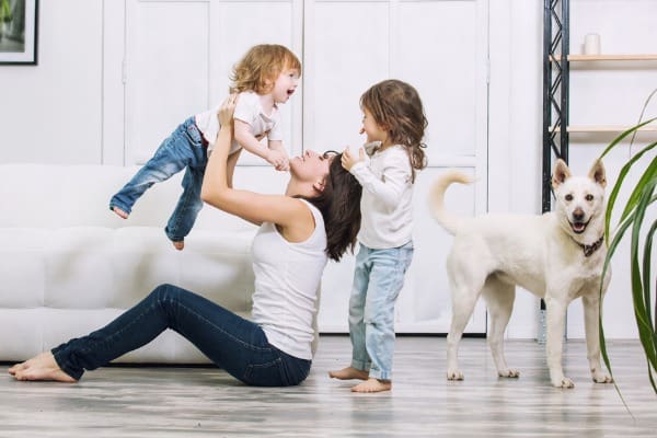 Dog competing for attention while standing up