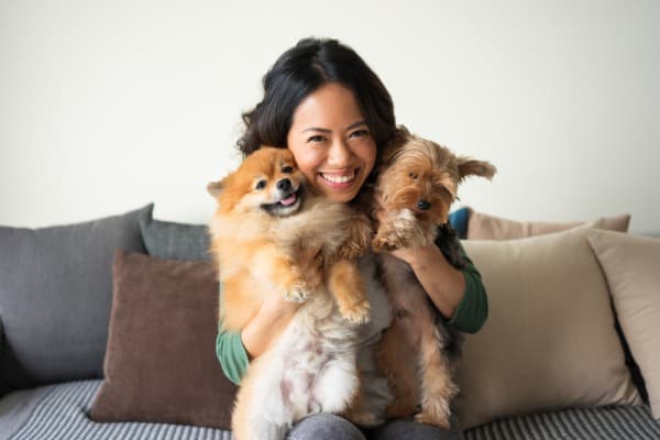 Happy dogs and owner