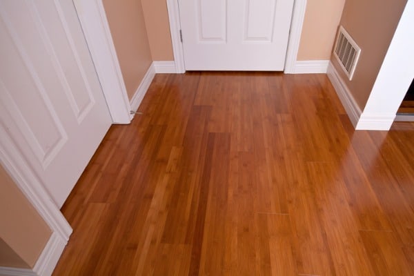 Bamboo Floor And Dog Urine Best Ways To Treat And Protect Petdt