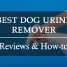 Dog urine remover