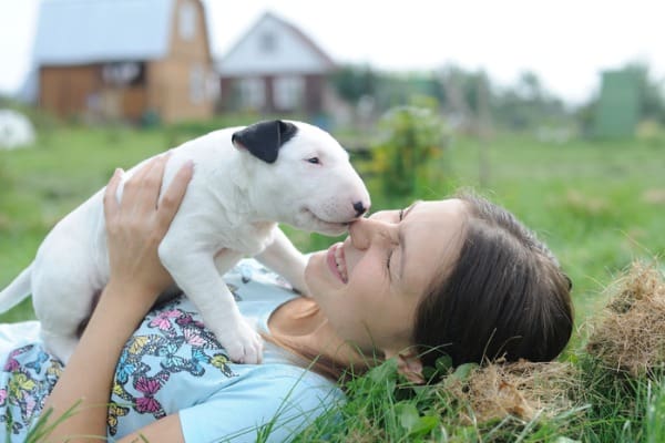 Dog standing on girl's chest