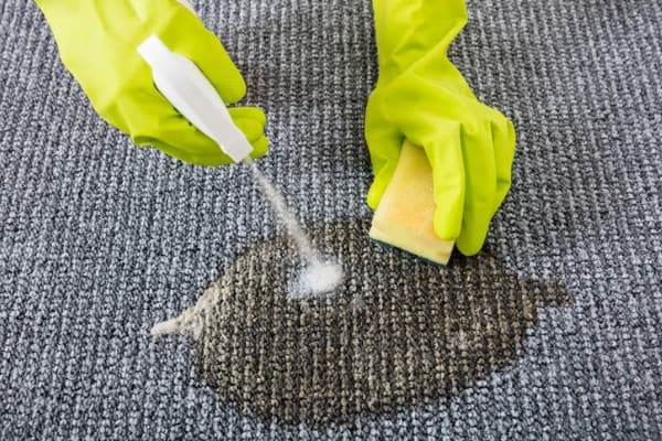 enzyme cleaner restore carpet