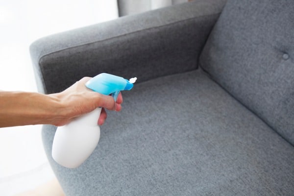 spray your sofa
