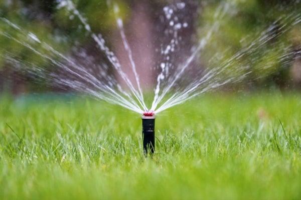 Sprinkler in your yard