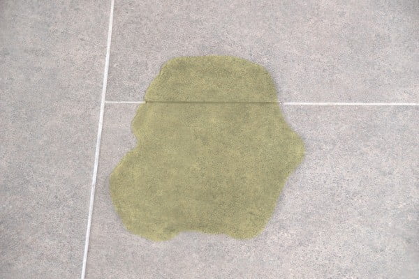 Urine soak into tile grout