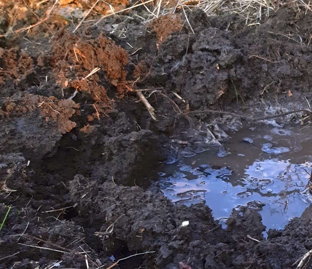 Adding water to the pit