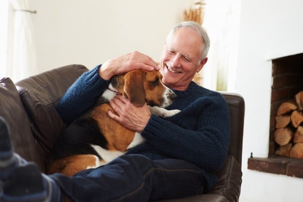 Dog cuddle you on wintry day