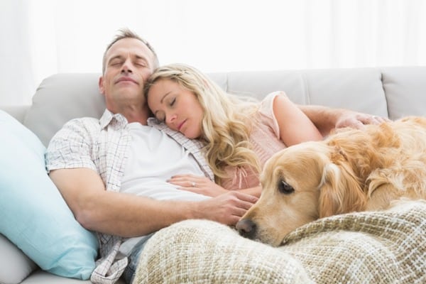 Loving couple and a dog