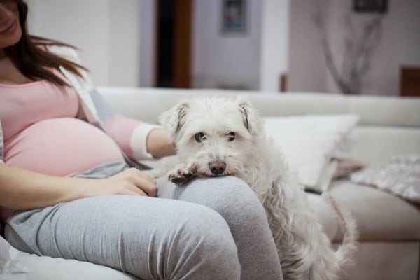 Protecting pregnant woman