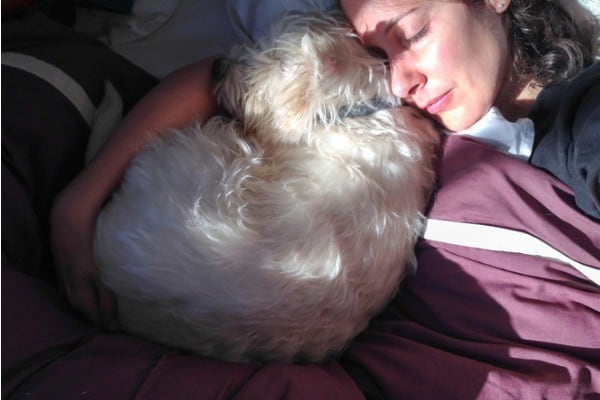 Dog curled up on owner's head