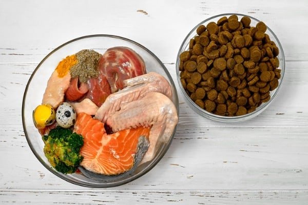 Healthy dog foods