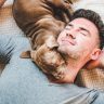 Puppy sleeping on man's head