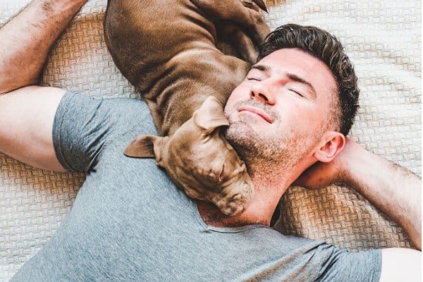 Puppy sleeping on man's head