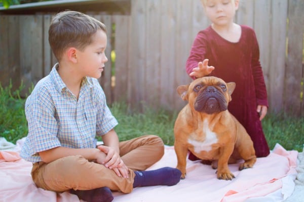 French-bulldog-kids