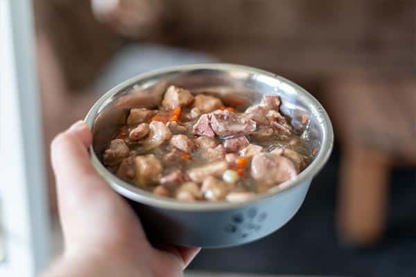 Wet-dog-food-bowl