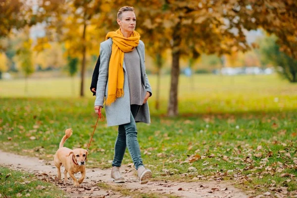 Walking-dog-better-digestive-health