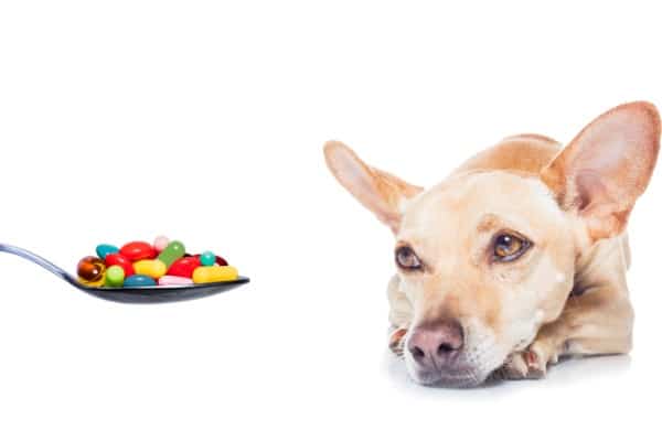 How to choose supplements for your dogs
