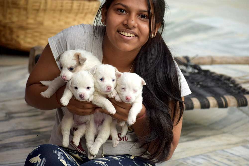 can you hold newborn puppies