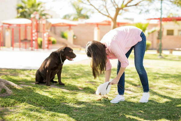 Human hair in dog poop