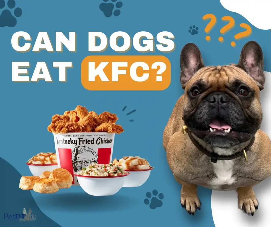 Can dogs eat kfc