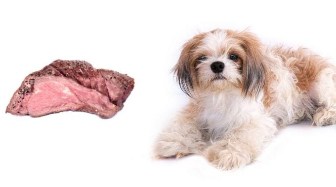 Dog and corned beef