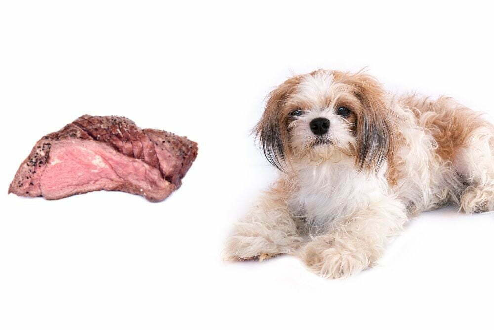 Dog and corned beef