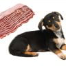 Dog and bacon