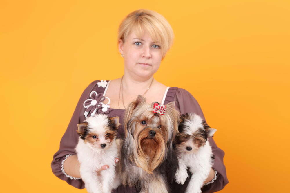 Dog breeder holding three dogs