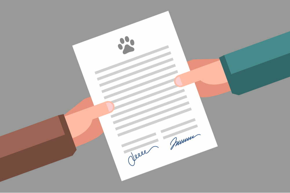 Dog breeder contract