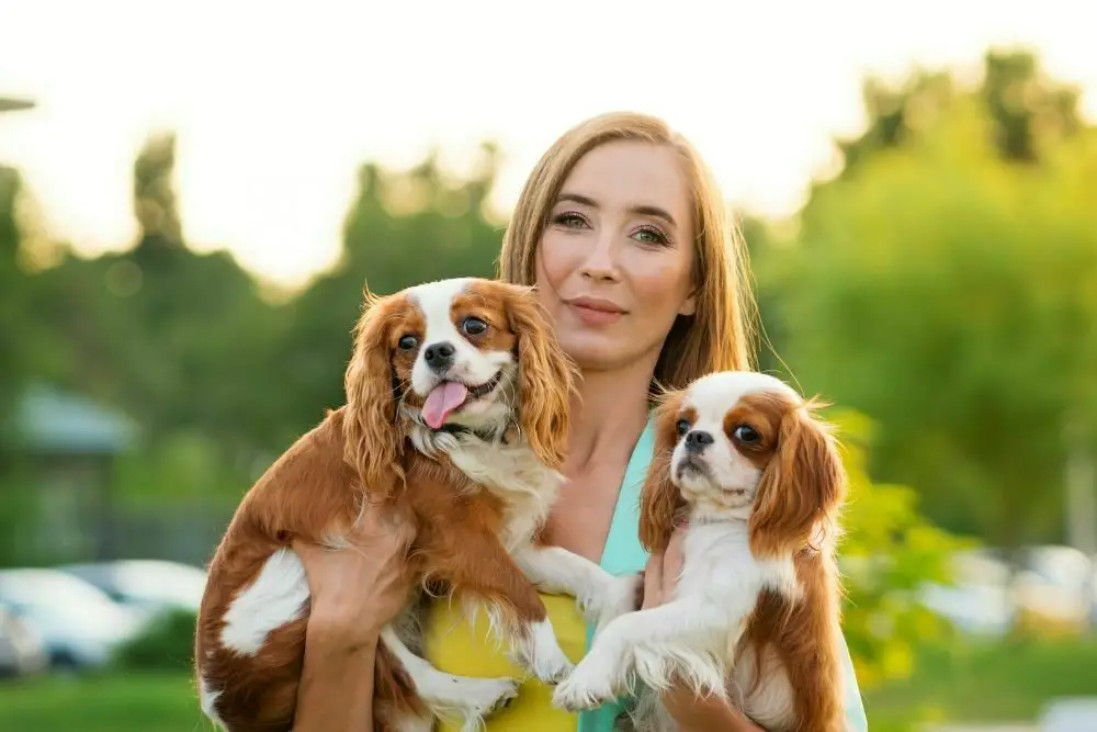 Dog breeder holding two dogs