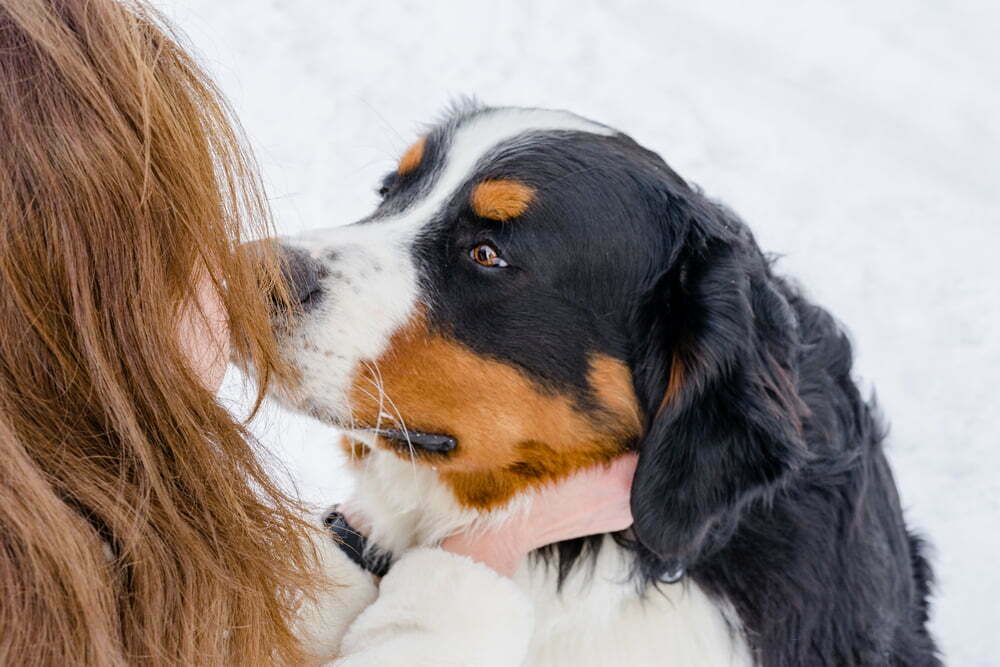 Owner holding dog