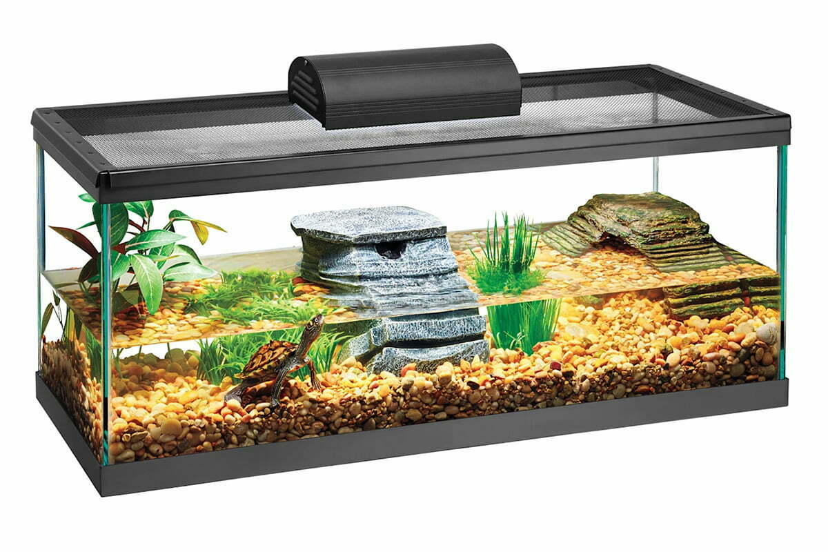 Zilla 20-gallon turtle tank