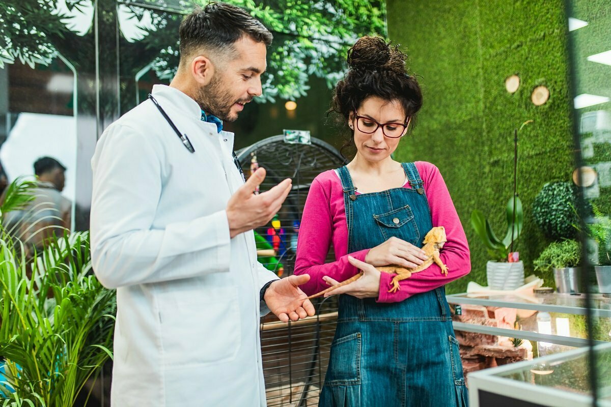 Woman holding bearded dragon talking to doctor