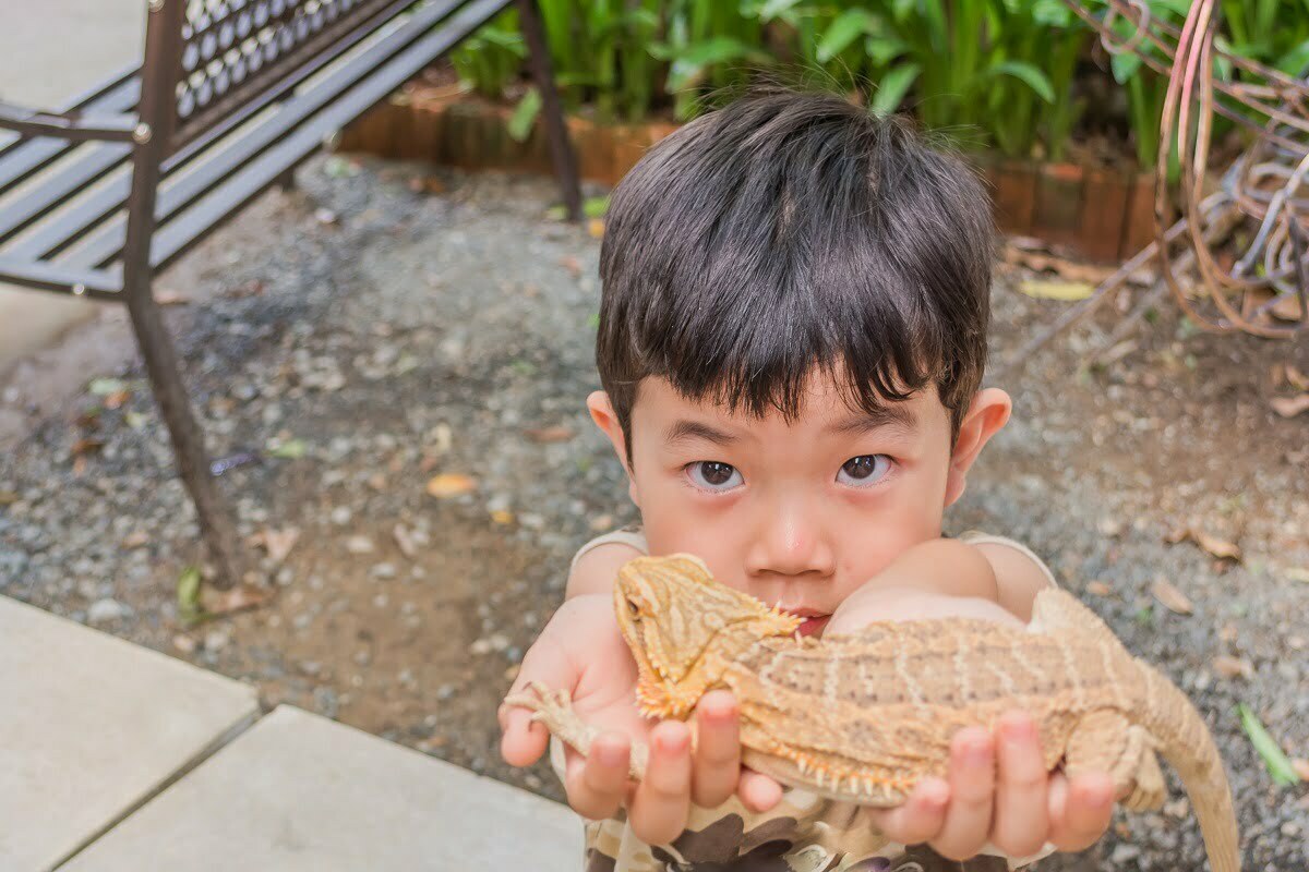 Kid holding bearded dragon