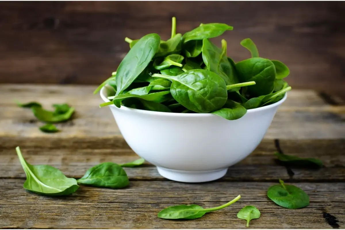 Spinach inside a small white bowl