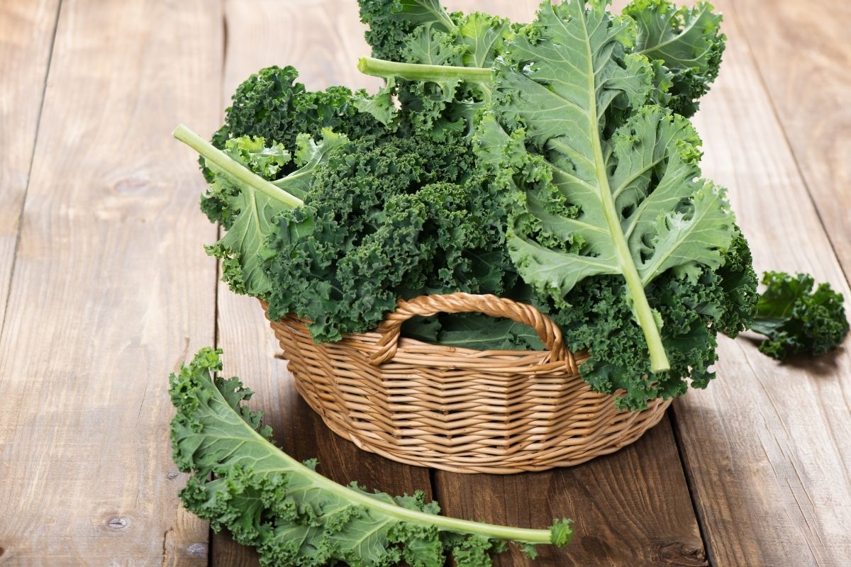 Basket full of kale