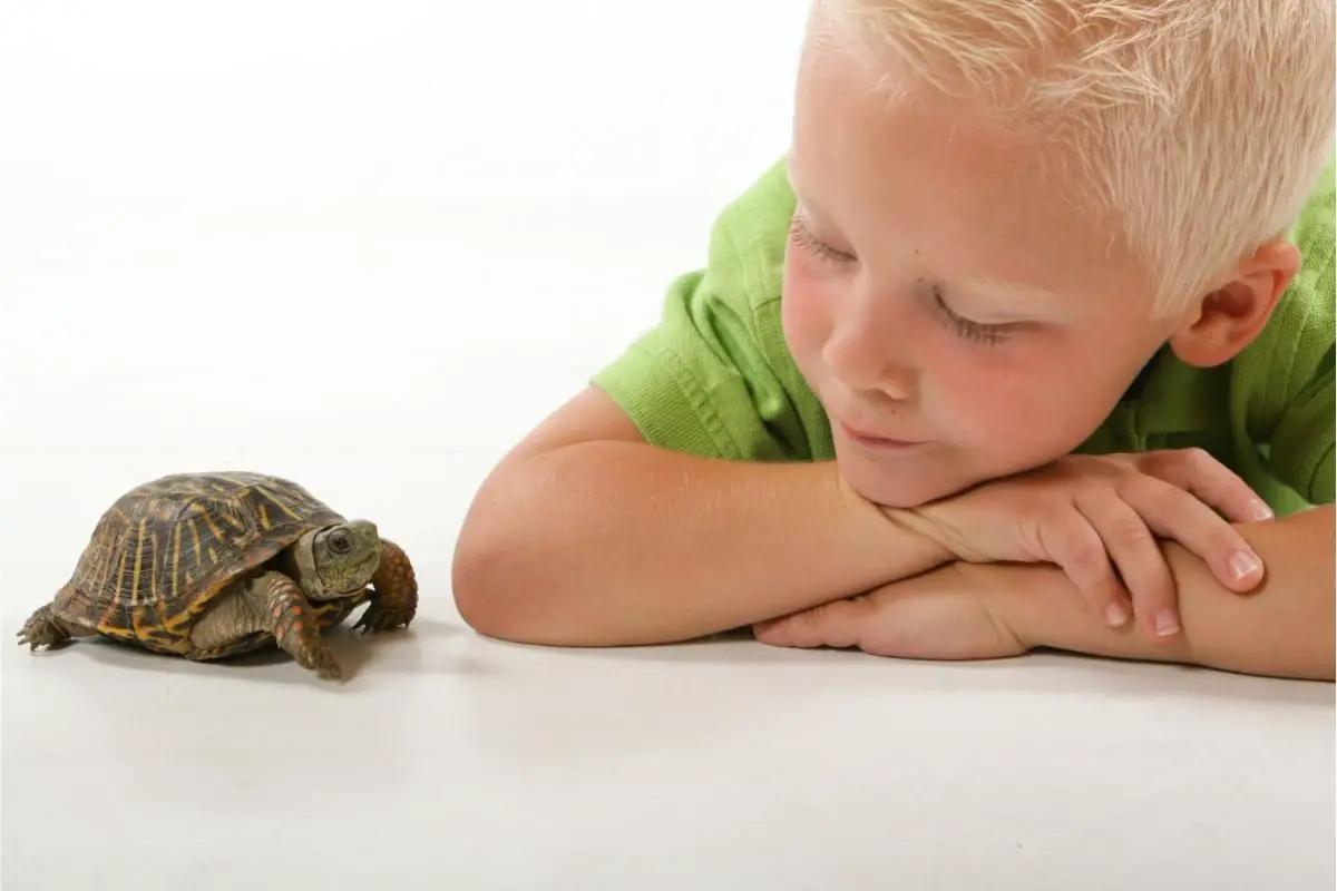 A kid with his pet
